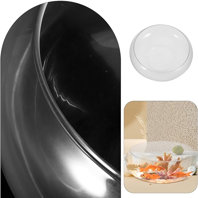 Large Glass Fish Bowl 9.84 Inch Transparent Desktop Aquarium for Goldfish, Hydroponic Plant Pot, Shallow Fish Tank for Home Decor