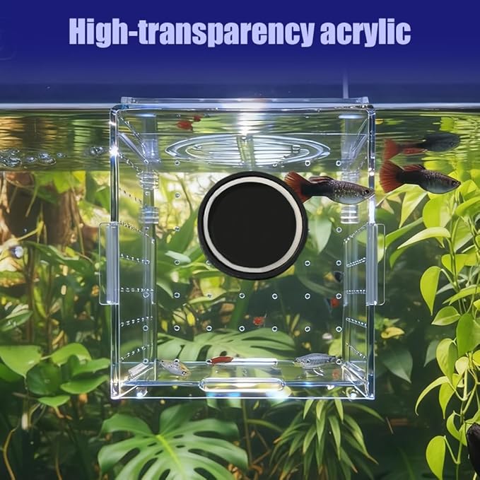 Fish Breeding Box, Acrylic Fish Isolation Container Aquariums Incubator with Magnetic Fixing for Fishes Shrimps