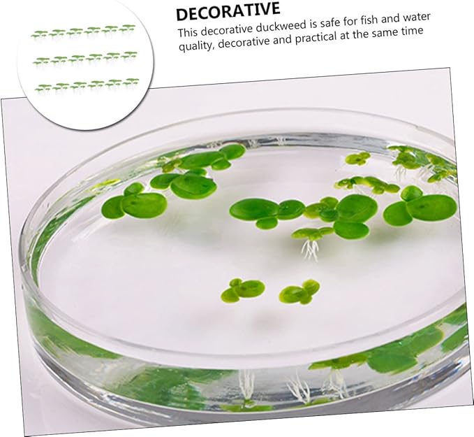 Balacoo 54 Pcs Artificial Mini Duckweed with Root, Mini Fake Duckweed for Aquarium Decor, Plastic Floating Fish Plants for Fish Tank Decor