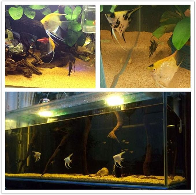 1.1lb Natural Decorative Real Aquarium Sand, Aquarium Landscaping Decorative Gravel Rock, Decoration Ornament for Aquarium Fish Turtle Tank