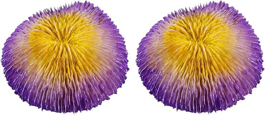 BESPORTBLE 2pcs Simulation Coral Reef Aquarium Ornament Realistic Resin Fish Tank Decoration for Freshwater Aquariums Vivid Colors Safe for Fish for Aquatic Environments