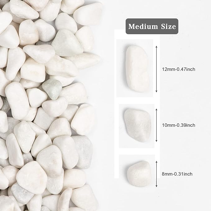 5lbs White Natural River Rocks, Polished Pebbles for Plants Garden, 0.3-0.8 inch Decorative White Stones, Ideal for Fish Tank, Vases, Crafting, Home Decor and Garden Landscaping Rocks,White