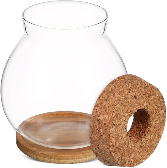 Balacoo Desktop Hydroponic Fish Bowl - Clear Glass Fish Tank with Bamboo Cushion and Wood Lid, Small Betta Fish Plants Terrarium for Home and Office Plant Decoration