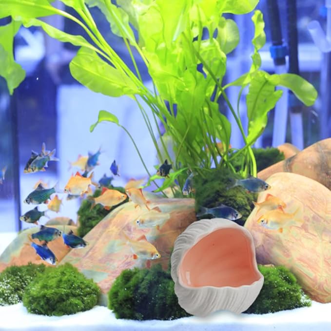 Aquarium Shell Shape Ceramic Cave Decoration, Fish House Conch Thematic Ornament for Betta Fish Passing or Hiding, Betta Tank 5.1inch Fish Tank Decoration (Pink, M)