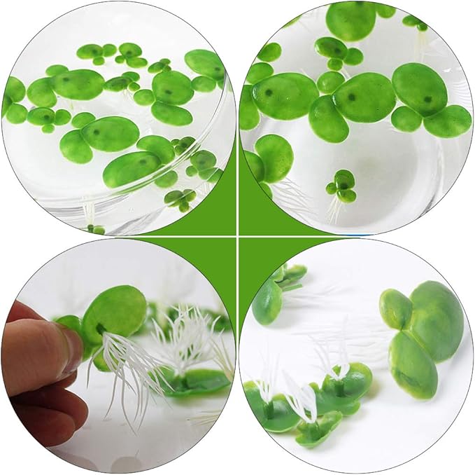 ULTECHNOVO Fish Tank Decorations, 2 Packs/ 36PCS Simulated Duckweed Plant Decor Plastic Water Plant (Green)
