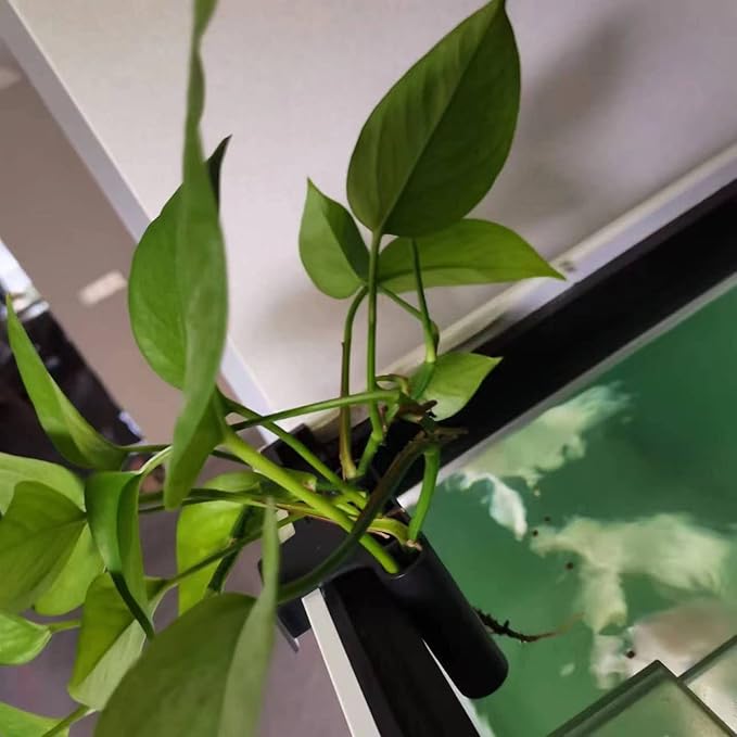 Aquarium Plant Holder, Aquarium Hanging Aquatic Plant Holder Fish Plant Holder Heat Aquatic Plant Holder Fish Decorations for Emersed Plants