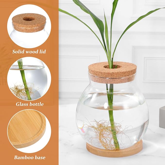 POPETPOP Desktop Glass Fish Bowl - Round Small Fish Tank with Wood Stopper & Bamboo Mat, Clear Glass Betta Fish Bowl for Succulent Plants, Hydroponic Air Plant (5.1X5.5 in)