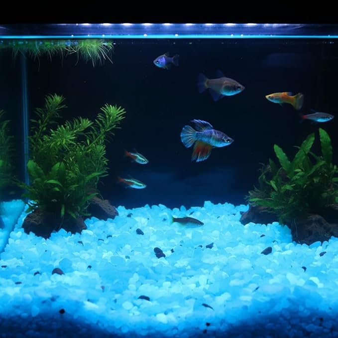 Shiny Stone Glow in The Dark Aquarium Neon Gravel Sand, Decorative Rocks for Fish Tank and Fairy Garden, Home Dec,305g/0.67lbs (5-8mm, Sky Blue)