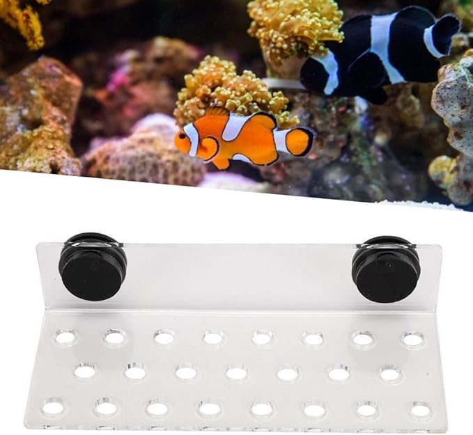 Zerodis Fish Acrylic Bracket Base, Aquarium Rack Bracket Transparent Bracket Holder Frag Plugs Rack Suction Cup(23Holes)