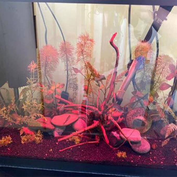 Emours Natural Aquarium Spider Wood Driftwood Tropical Fish Plant Habitat Decor Vary Sizes, 2 Pcs Set (Medium)