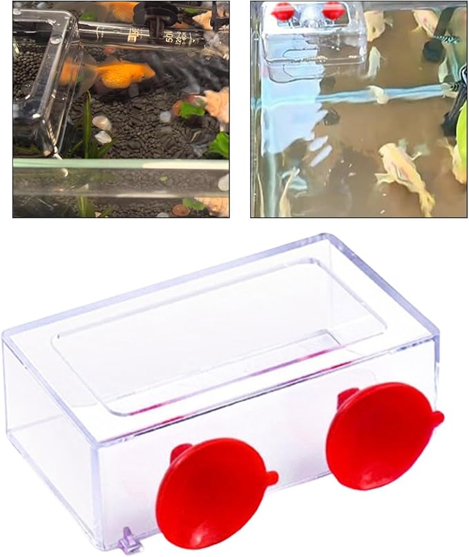 Fish Feeding Ring Float Food Tray Feeder Sturdy Gifts Fish Food Holder Versatile Turtles Aquatic Turtle Aquarium Accessories, S