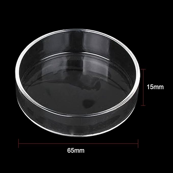 1PCS 60mm/65mm Aquarium Shrimp Feeding Dish, Glass Round Fish Feeder Bowl Reptiles Water Food Dish Clear Dishes Tray