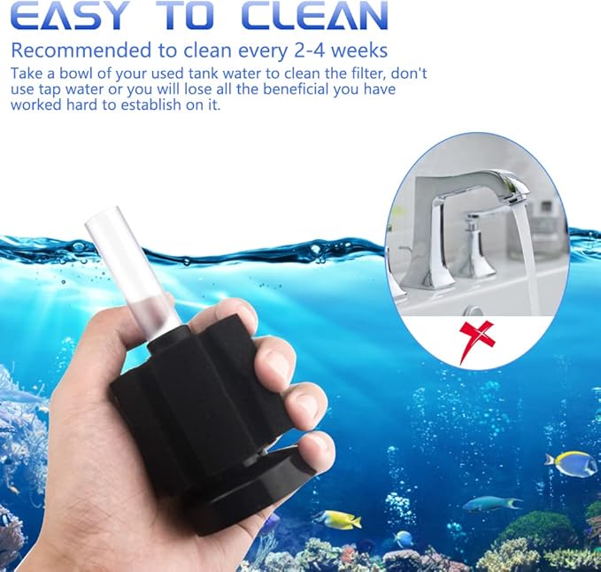 WMYCONGCONG 6 PCS Aquarium Sponge Filter Fish Tank Aquarium Soft Biochemical Sponge Filter for 10-20 Gallon Breeding Fry Betta Shrimp Fish Tank