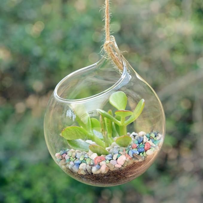 HappyFiller Colored Pea Gravel, Indoor Plants Succulent Cactus Topper Dressing Pebbles Fairy Garden Terrarium,Polished Mini Stones 3-5mm for Aquarium Fish Tank,Vase Filler,Resin Arts Crafts,0.88 LB