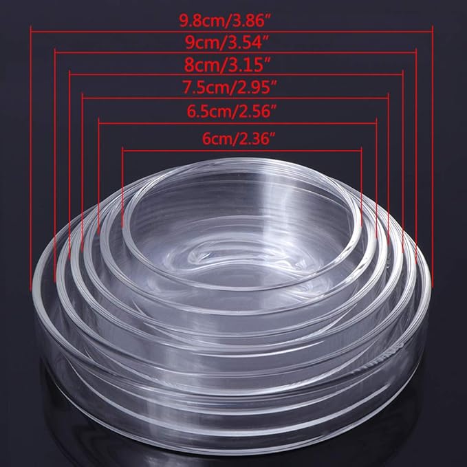 Aquarium Fish Tank Shrimp Feeding Food Dish Bowl Feeder Tray Container Glass Shrimp Feeding Dish for Shrimp Food (9cm/3.54in)