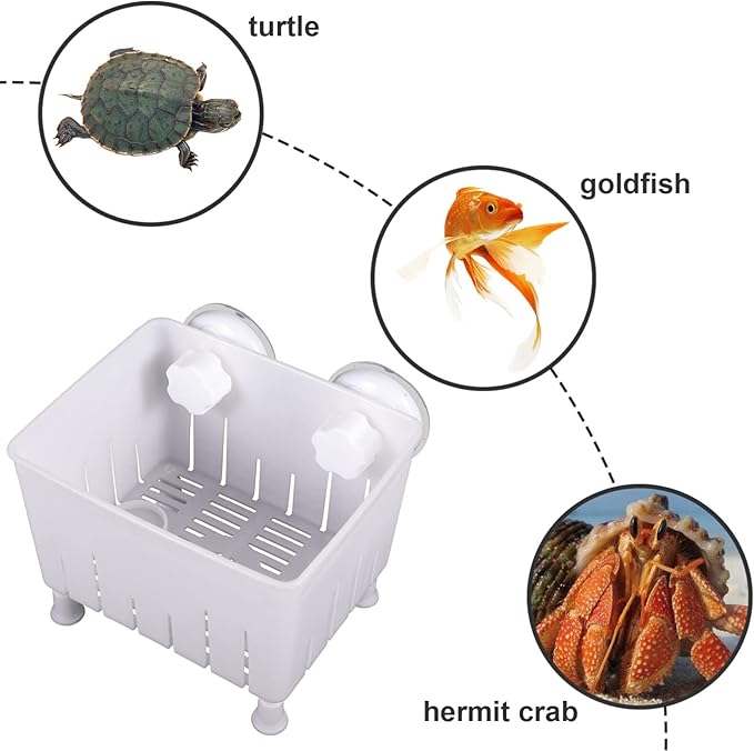 Ipetboom 1set Fish Breeder Box Tortoise Isolation Container Fish Hatching Box Feeding Trough Multi-Functional Aquarium Breeding