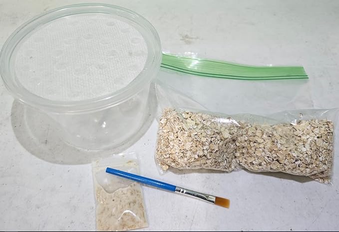 The Frog House Live Microworm Culture Kit Freshwater Aquarium Fish Food