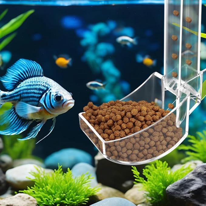 Shrimp Feeder: Tube & Dish Set, Anti-Scatter, Adjustable Height for Aquariums/Tanks | Ideal for Fishkeepers