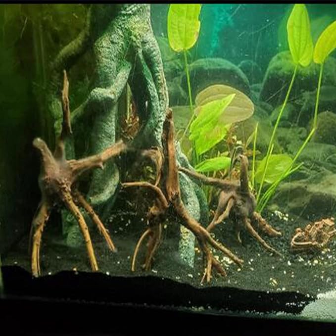 Emours Natural Aquarium Spider Wood Driftwood Tropical Fish Plant Habitat Decor Vary Sizes, 2 Pcs Set (Medium)