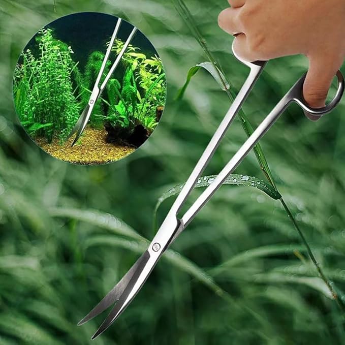 Curved Aquarium Scissors Water Fish Tank Plant Scissors Small Aquascaping Scissors Aquatic Plant Scissors Long Terrarium Scissors