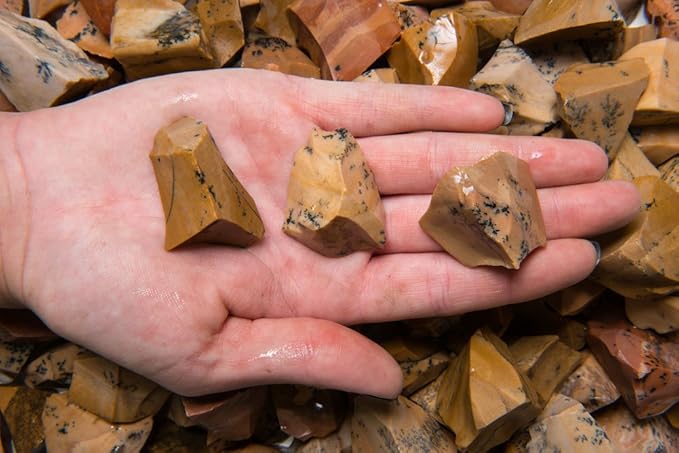 Fantasia Materials: 18 lbs Dendrite Tan Jasper Rough Stones from India