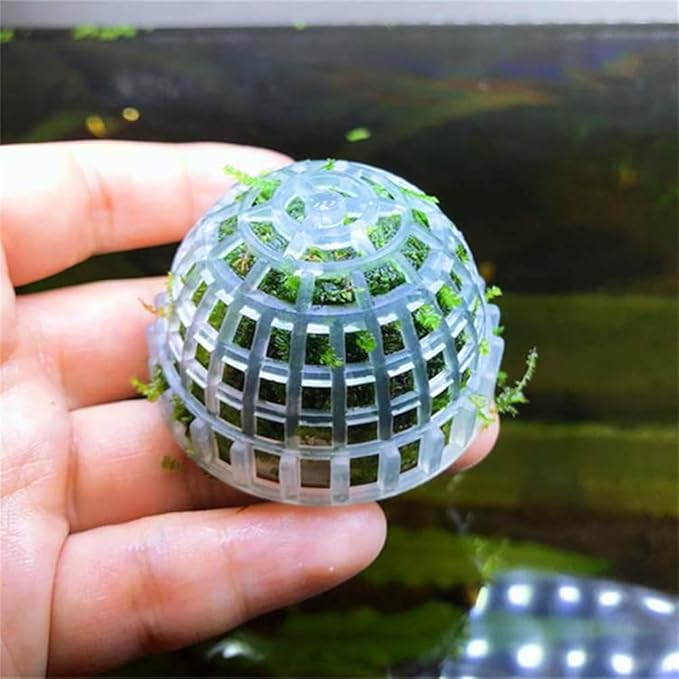 4 Pack Aquarium Moss Ball Holder, Fish Tank Moss Ball Live Plants Shaping Filter, Exotic Decor Ornaments for Aquarium Shrimp Betta Fish Tank (4 Pack)