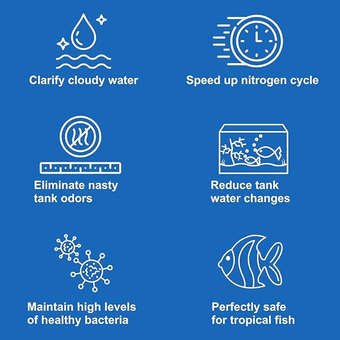 EcoBio-Block Natural Volcanic Rock for Aquarium Water Clarity & Balance — Low-Maintenance Alternative to Weekly Additives — for Freshwater Fish, Turtles, Shrimp & Frogs (Medium, 15-40 gal)