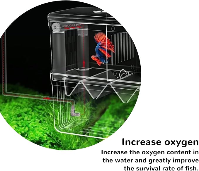 Mipukbay Medium Aquarium Isolation Breeding Box, Acrylic Transparent Aquarium Breeder Box for Fish Fry Hatching, Shrimp Breeding, Betta, Guppy, Killifish, Clownfish, Suitable for 5-40 Gallon Tanks