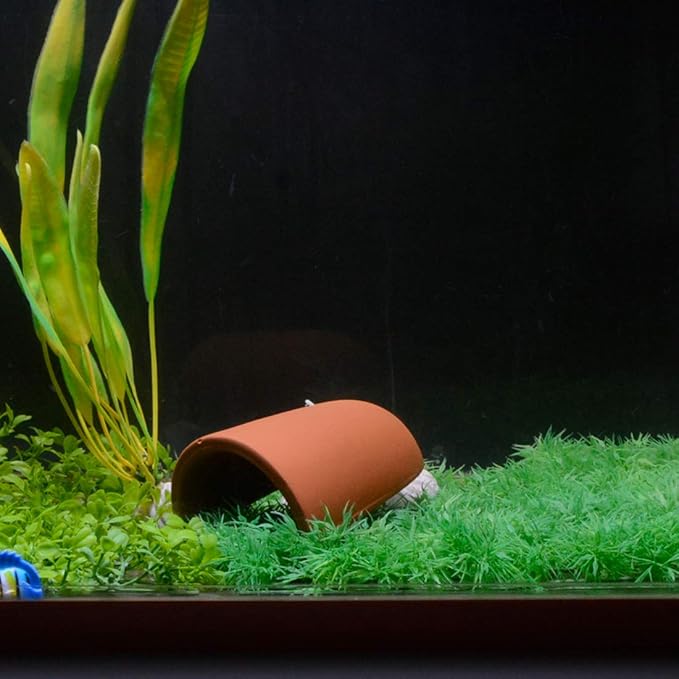 Siam Ceramic Shrimp Shelter & Axolotl Hide Cave Fish Tank Decorations with 3 Plastic Fish Ornaments – Breeding Cave & Hiding Shelter for Shrimp, Pleco, Betta, Cichlid – Aquarium Decor Set (Small)