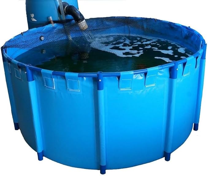 Round Fish Tank, 78.7" x 39.4", 829 Gallons, PVC, Modern Style, Portable Aquarium, Temporary Housing, Quarantine, Display