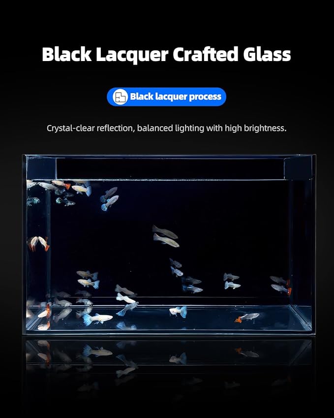 2.5 Gallon Clear Glass Fish Tank, Small Fish Tank Aquarium for Betta, Goldfish, Snail,Shrimp and Aquatic Planting