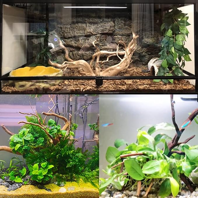 Hamiledyi 7-10in Natural Aquarium Driftwood 2PCS Large Reptile Spider Wood Ornament Assorted Branches Natural Driftwood Log Fish Tank Decoration