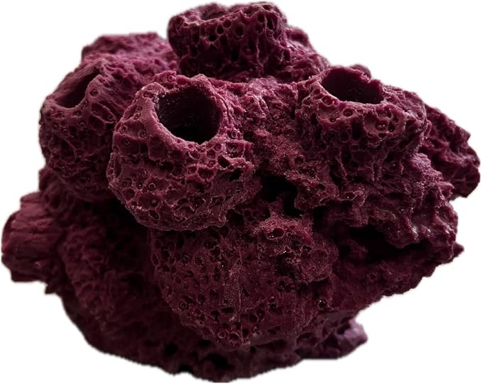 7 Hole Barnacle Cave frag Rock sandbed Base for Live Coral frag Plugs for Reef Aquariums (Coralline Purple)