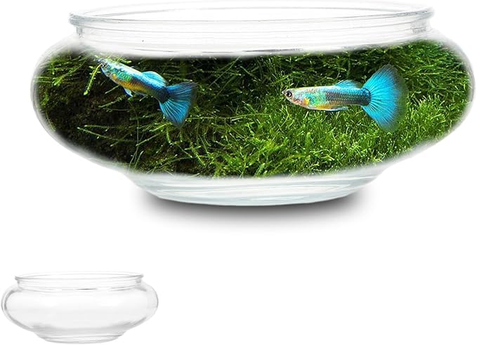 Flower Glass Vase Bowl Terrarium Succulent Planter: Glass Vase Bowl Hydroponic Planter Floral Container Fish Clear Bubble Floating Candle