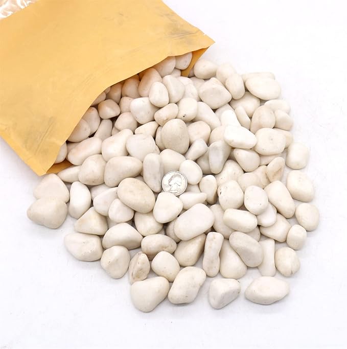 White Rocks for Plants. White Decorative Polished Pebbles. 1 to 2 Inch – 10lbs for Plants, Garden, Succulents, pots, Plants (MD (1 to 2 Inch), White - Lightly Polished, 10)