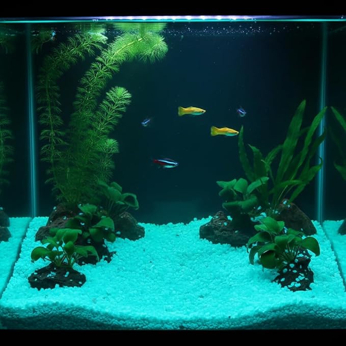 Shiny Stone Glow in The Dark Aquarium Neon Gravel Sand, Decorative Rocks for Fish Tank and Fairy Garden, Home Dec,305g/0.67lbs (3-5mm, Aqua)