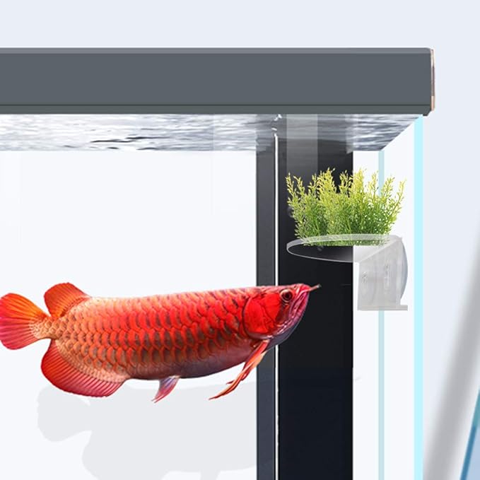 SLSON 2Pack Aquarium Shelf,Transparent Acrylic Ledge Plants Holder for Substrate and Live Plants,with Strong Suction Cups for Fish Tank Multi-layer Decorations