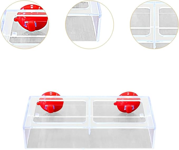 Fish Feeding Ring Float Food Tray Feeder Sturdy Gifts Fish Food Holder Versatile Turtles Aquatic Turtle Aquarium Accessories, L