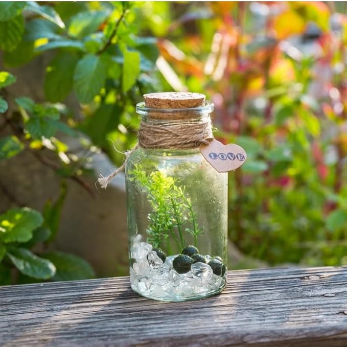 Moss Balls Glass Terrarium Kit,7 Pcs Lucky Moss Balls Pets,White Crystal,Artificial Plants,Aquarium Decor DIY Starter with Moss for Adults and Kids, Green Decor