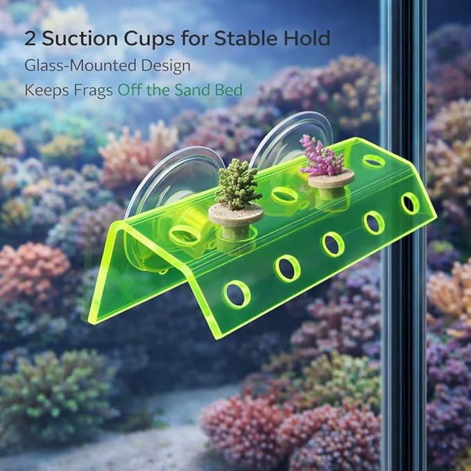 kcrygogo Fluorescent Green Coral Frag Holder Acrylic Coral Rack with Powerful Double Suction Cup Suitable for Household Fish Tanks (10 Plug Holes)