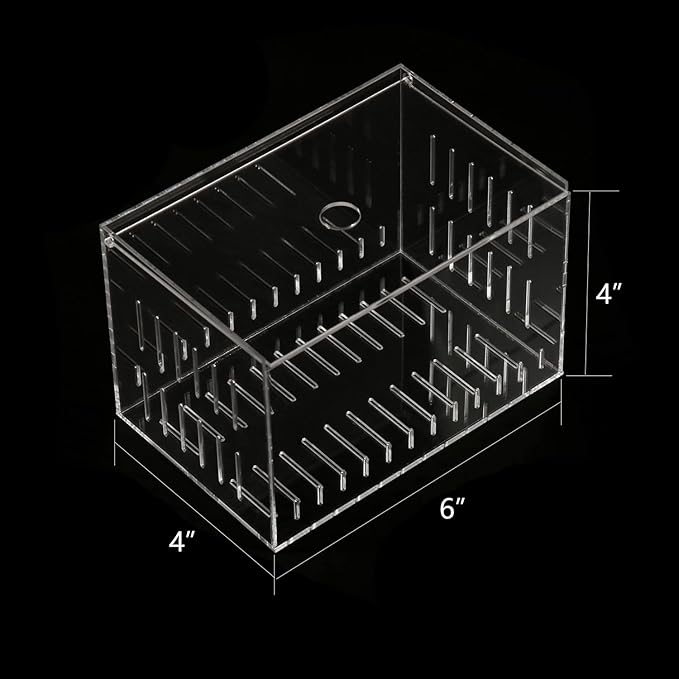 Acrylic Fish Tank Isolation Box 6"x4"x4" - No Assembly - Clear View Breeding Hatchery with Suction Cups & Feeding Kit (Fish Feeder - Pipette Included