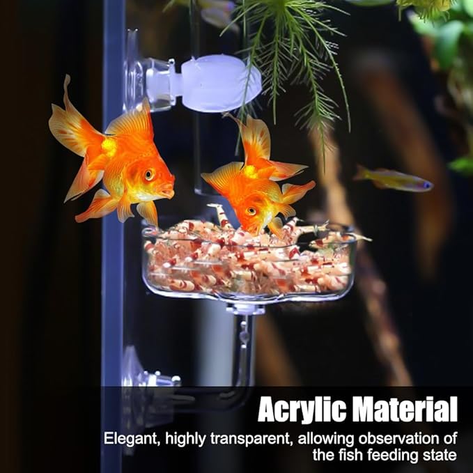 DONGKER Shrimp Feeding Dish,Acrylic Aquarium Shrimp Feeder Dish Bowl Tray with Suction Cup for Freshwater Saltwater Tanks