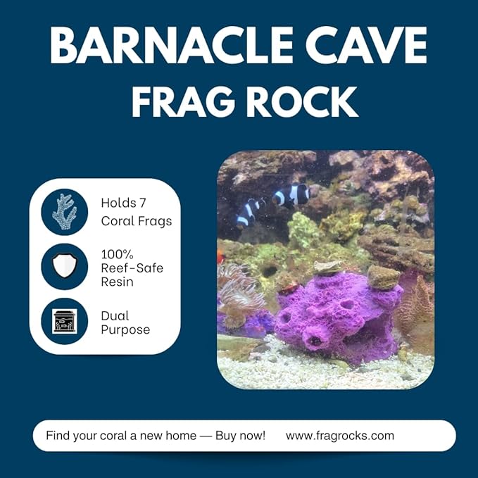 7 Hole Barnacle Cave frag Rock sandbed Base for Live Coral frag Plugs for Reef Aquariums (Black)