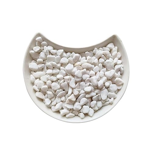 1LB Natural Gravel Pebbles, Cactus and Succulent Plants Pebbles, Small Decorative Polished Stones, White River Rocks for Potted Plants, Vases, Aquariums, Terrarium and Outdoor Gardening