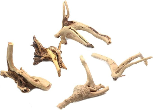 5Pcs Natural Cuckoo Wood for Aquarium, Aquarium Decor Wood Freshwater Fish Tank Reptile Driftwood Branch Length 3.93" to 5.9"