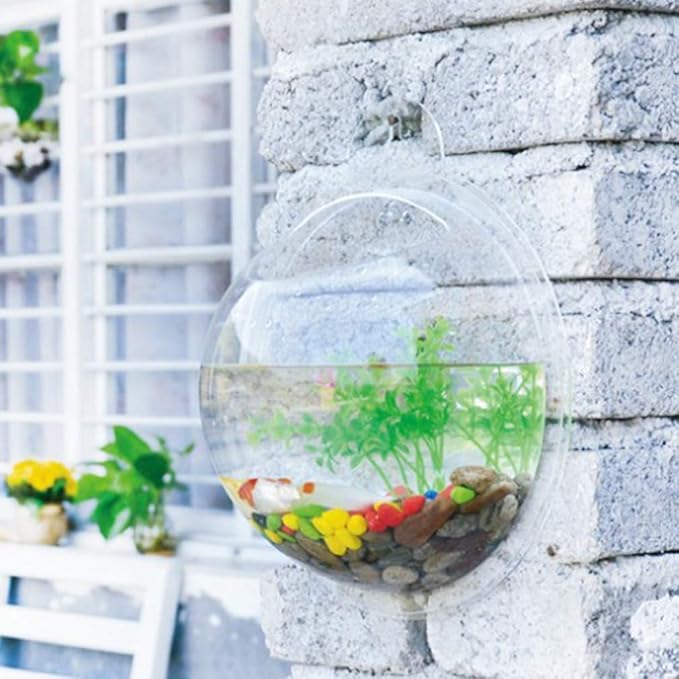 Aquarium Wall Mounted Plant Bowl - 6 Inch Round Acrylic Betta Fish Tank, Hanging Bubble Vase for Plant Propagation & Home Office Wall Decorations