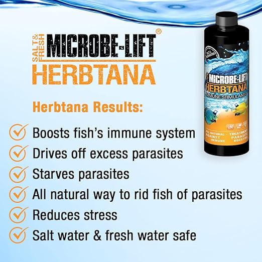 MICROBE-LIFT Herbtana Fish Medicine, Immune Booster and Parasite Treatment for Aquarium Fish Health, Ich Treatment, Use in Freshwater Tank or Saltwater Aquarium, 4 Ounces (HERB04)