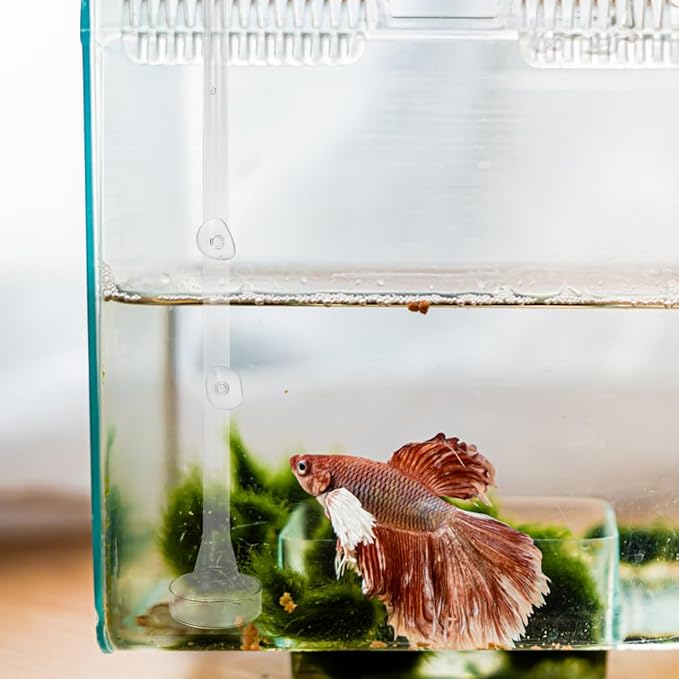 Mipcase Shrimp Feeding Tube and Dish Set - Clear Glass Aquarium Feeder with Suction Cup for Shrimp and Tropical Fish 17.91X2.36X2.36 Inch Easy to Install and Clean for Planted Tanks