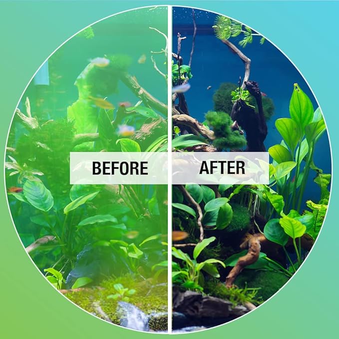 MICROBE-LIFT Algaway 5.4 Algae Remover for Aquariums, Algaecide for Freshwater and Saltwater Tanks, Aquarium Algae Control and Fish Tank Cleaner, Safe for Fish and Plants, 8 Ounces (ALGAA08)