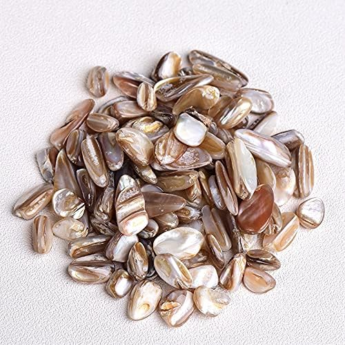 50/100g Natural Stones Gravel Crystals Chip Quartz Minerals Reiki Healing Tumbled Agates Specimen Gemstones Home Aquarium Decor (Color : Shell, Size : 100g)